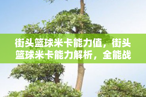 街头篮球米卡能力值,街头篮球米卡能力解析,全能战士的实战魅力 街头篮球米卡能力值,街头篮球米卡能力解析,全能战士的实战魅力
