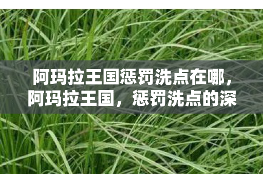 阿玛拉王国惩罚洗点在哪,阿玛拉王国,惩罚洗点的深层意义与玩家责任 阿玛拉王国惩罚洗点在哪,阿玛拉王国,惩罚洗点的深层意义与玩家责任