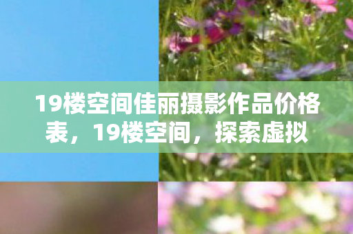 19楼空间佳丽摄影作品价格表,19楼空间,探索虚拟世界的无限可能 19楼空间佳丽摄影作品价格表,19楼空间,探索虚拟世界的无限可能