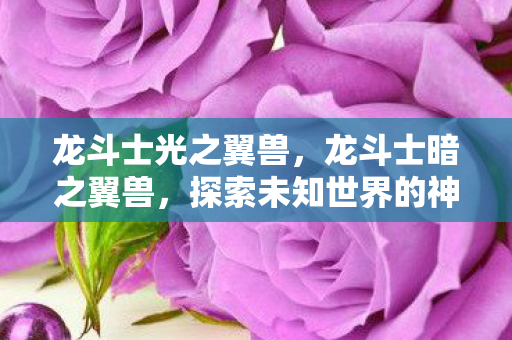 龙斗士光之翼兽,龙斗士暗之翼兽,探索未知世界的神秘力量 龙斗士光之翼兽,龙斗士暗之翼兽,探索未知世界的神秘力量