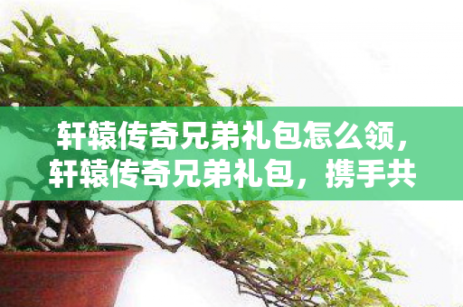 轩辕传奇兄弟礼包怎么领,轩辕传奇兄弟礼包,携手共赴传奇之旅 轩辕传奇兄弟礼包怎么领,轩辕传奇兄弟礼包,携手共赴传奇之旅
