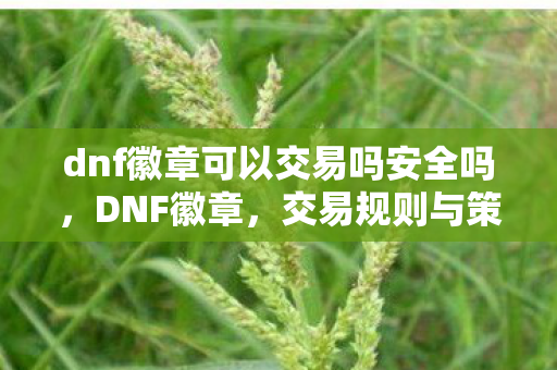 dnf徽章可以交易吗安全吗,DNF徽章,交易规则与策略解析 dnf徽章可以交易吗安全吗,DNF徽章,交易规则与策略解析