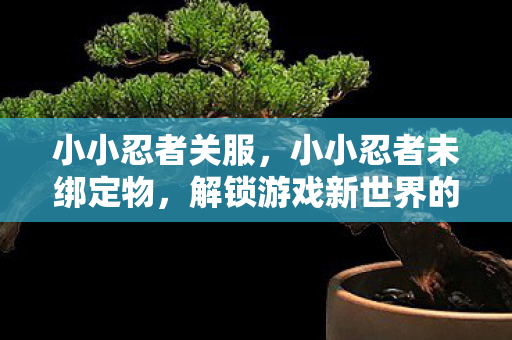小小忍者关服,小小忍者未绑定物,解锁游戏新世界的钥匙 小小忍者关服,小小忍者未绑定物,解锁游戏新世界的钥匙
