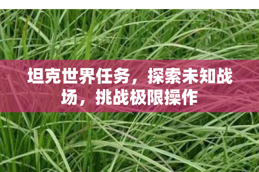 坦克世界任务,探索未知战场,挑战极限操作 坦克世界任务,探索未知战场,挑战极限操作