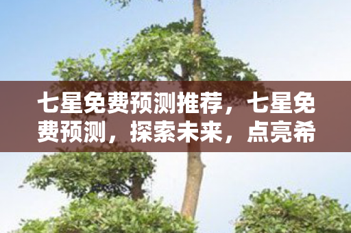 七星免费预测推荐,七星免费预测,探索未来,点亮希望之光 七星免费预测推荐,七星免费预测,探索未来,点亮希望之光