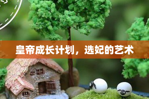 皇帝成长计划，选妃的艺术