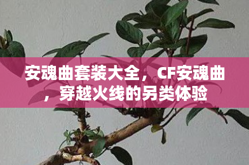 安魂曲套装大全,CF安魂曲,穿越火线的另类体验 安魂曲套装大全,CF安魂曲,穿越火线的另类体验