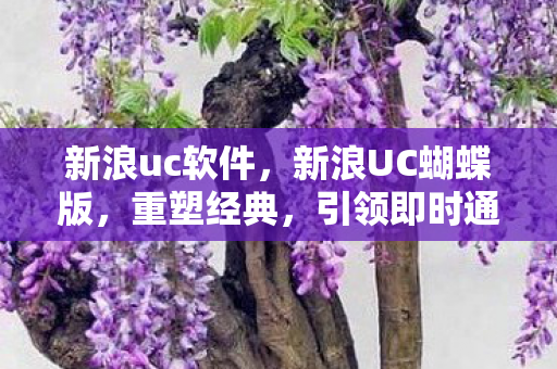 新浪uc软件,新浪UC蝴蝶版,重塑经典,引领即时通讯新风尚 新浪uc软件,新浪UC蝴蝶版,重塑经典,引领即时通讯新风尚