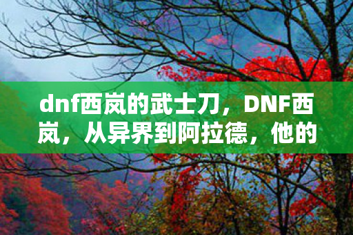 dnf西岚的武士刀，DNF西岚，从异界到阿拉德，他的传奇故事