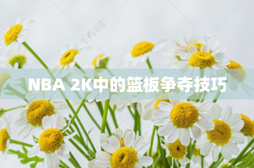 NBA 2K中的篮板争夺技巧
