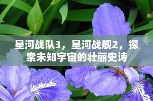 星河战队3，星河战舰2，探索未知宇宙的壮丽史诗