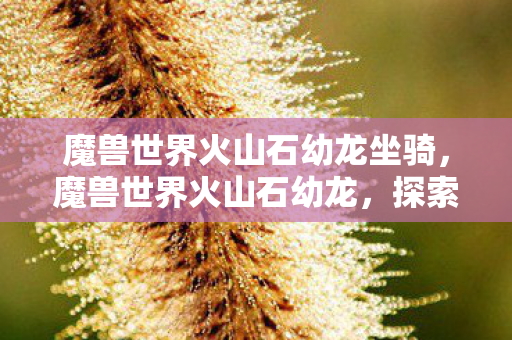 魔兽世界火山石幼龙坐骑，魔兽世界火山石幼龙，探索古老传说的神秘之旅