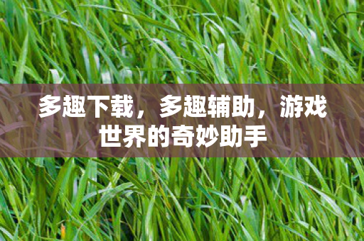多趣下载,多趣辅助,游戏世界的奇妙助手 多趣下载,多趣辅助,游戏世界的奇妙助手