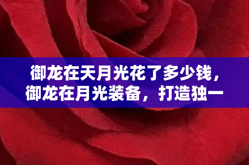 御龙在天月光花了多少钱,御龙在月光装备,打造独一无二的游戏体验 御龙在天月光花了多少钱,御龙在月光装备,打造独一无二的游戏体验