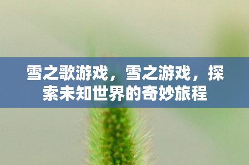 雪之歌游戏，雪之游戏，探索未知世界的奇妙旅程
