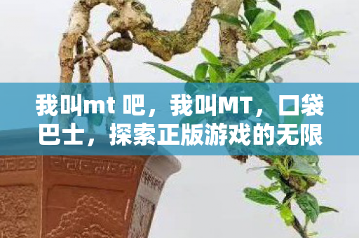 我叫mt 吧,我叫MT,口袋巴士,探索正版游戏的无限可能 我叫mt 吧,我叫MT,口袋巴士,探索正版游戏的无限可能
