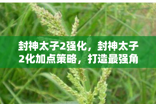封神太子2强化,封神太子2化加点策略,打造最强角色,征服神魔世界 封神太子2强化,封神太子2化加点策略,打造最强角色,征服神魔世界