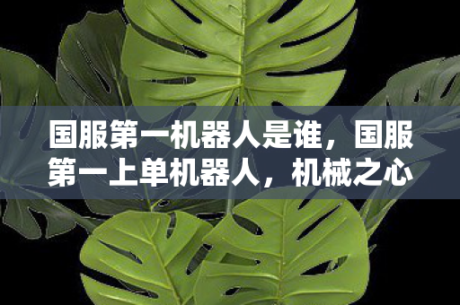 国服第一机器人是谁,国服第一上单机器人,机械之心,王者之路 国服第一机器人是谁,国服第一上单机器人,机械之心,王者之路