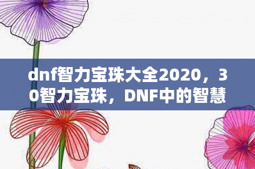 dnf智力宝珠大全2020,30智力宝珠,DNF中的智慧之光 dnf智力宝珠大全2020,30智力宝珠,DNF中的智慧之光