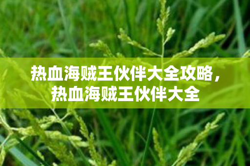 热血海贼王伙伴大全攻略,热血海贼王伙伴大全 热血海贼王伙伴大全攻略,热血海贼王伙伴大全