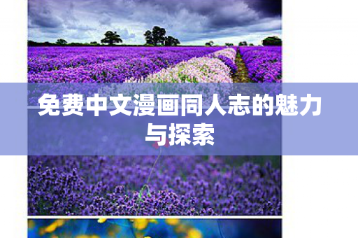 免费中文漫画同人志的魅力与探索 免费中文漫画同人志的魅力与探索