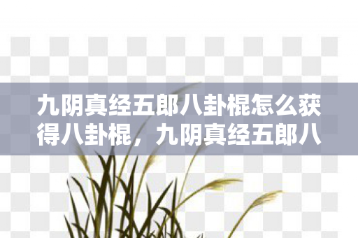 九阴真经五郎八卦棍怎么获得八卦棍,九阴真经五郎八卦棍,武侠世界中的绝世神兵 九阴真经五郎八卦棍怎么获得八卦棍,九阴真经五郎八卦棍,武侠世界中的绝世神兵