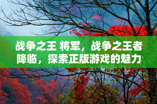 战争之王 将军,战争之王者降临,探索正版游戏的魅力与未来 战争之王 将军,战争之王者降临,探索正版游戏的魅力与未来