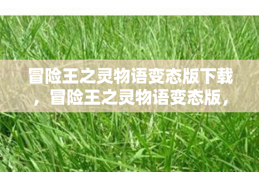 冒险王之灵物语变态版下载,冒险王之灵物语变态版,探索未知世界的奇幻之旅 冒险王之灵物语变态版下载,冒险王之灵物语变态版,探索未知世界的奇幻之旅