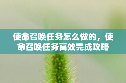 使命召唤任务怎么做的,使命召唤任务高效完成攻略 使命召唤任务怎么做的,使命召唤任务高效完成攻略