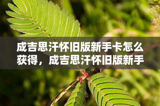 成吉思汗怀旧版新手卡怎么获得,成吉思汗怀旧版新手卡,重温经典,启程新征途 成吉思汗怀旧版新手卡怎么获得,成吉思汗怀旧版新手卡,重温经典,启程新征途