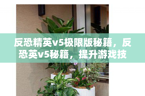 反恐精英v5极限版秘籍,反恐英v5秘籍,提升游戏技巧与策略的全面指南 反恐精英v5极限版秘籍,反恐英v5秘籍,提升游戏技巧与策略的全面指南