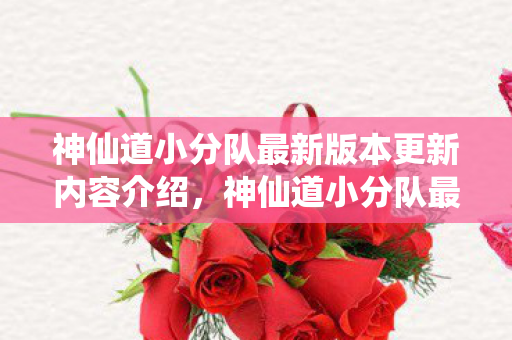 神仙道小分队最新版本更新内容介绍，神仙道小分队最新版，探索全新冒险，畅享无限乐趣