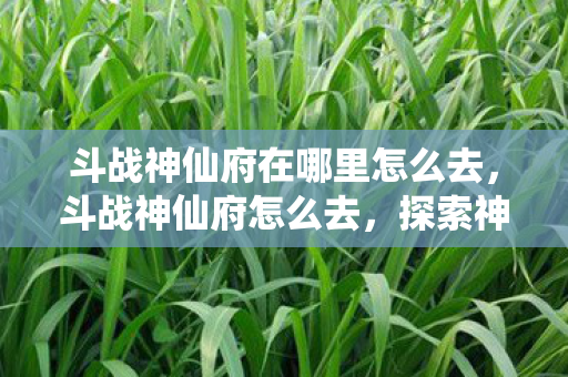 斗战神仙府在哪里怎么去,斗战神仙府怎么去,探索神秘仙境的指南 斗战神仙府在哪里怎么去,斗战神仙府怎么去,探索神秘仙境的指南