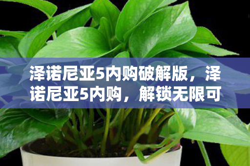 泽诺尼亚5内购破解版,泽诺尼亚5内购,解锁无限可能的冒险之旅 泽诺尼亚5内购破解版,泽诺尼亚5内购,解锁无限可能的冒险之旅