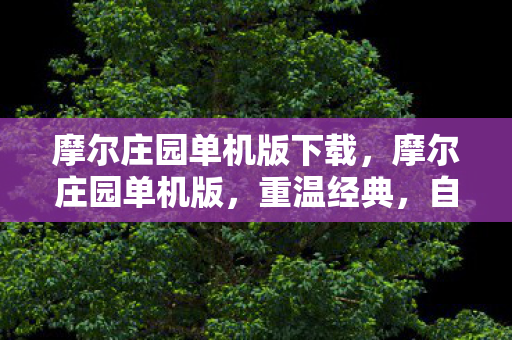 摩尔庄园单机版下载,摩尔庄园单机版,重温经典,自由探索的庄园之旅 摩尔庄园单机版下载,摩尔庄园单机版,重温经典,自由探索的庄园之旅