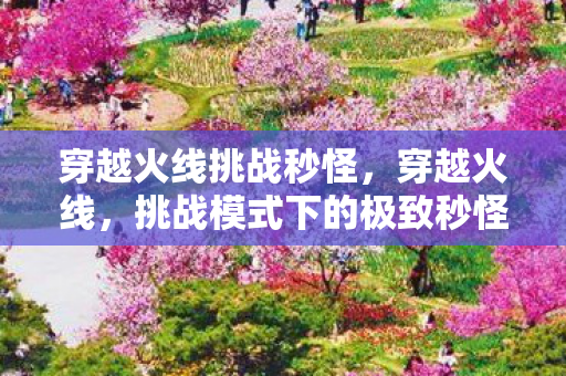 穿越火线挑战秒怪,穿越火线,挑战模式下的极致秒怪体验 穿越火线挑战秒怪,穿越火线,挑战模式下的极致秒怪体验