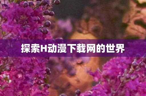 探索H动漫下载网的世界 探索H动漫下载网的世界