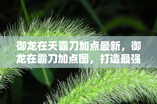 御龙在天霸刀加点最新,御龙在霸刀加点图,打造最强角色的关键策略 御龙在天霸刀加点最新,御龙在霸刀加点图,打造最强角色的关键策略