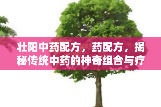 壮阳中药配方,药配方,揭秘传统中药的神奇组合与疗效 壮阳中药配方,药配方,揭秘传统中药的神奇组合与疗效