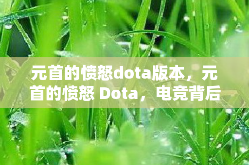元首的愤怒dota版本,元首的愤怒 Dota,电竞背后的权力游戏 元首的愤怒dota版本,元首的愤怒 Dota,电竞背后的权力游戏