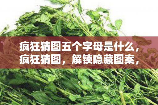 疯狂猜图五个字母是什么,疯狂猜图,解锁隐藏图案,探索未知世界 疯狂猜图五个字母是什么,疯狂猜图,解锁隐藏图案,探索未知世界
