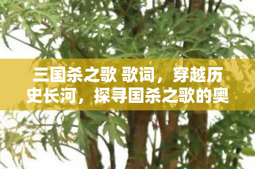 三国杀之歌 歌词,穿越历史长河,探寻国杀之歌的奥秘 三国杀之歌 歌词,穿越历史长河,探寻国杀之歌的奥秘