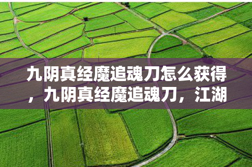 九阴真经魔追魂刀怎么获得,九阴真经魔追魂刀,江湖中的绝世神兵 九阴真经魔追魂刀怎么获得,九阴真经魔追魂刀,江湖中的绝世神兵