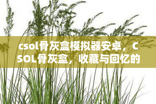 csol骨灰盒模拟器安卓，CSOL骨灰盒，收藏与回忆的珍贵载体