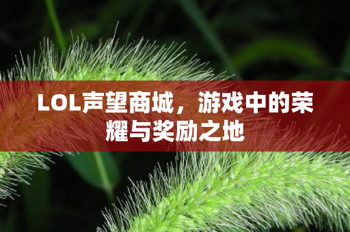 LOL声望商城,游戏中的荣耀与奖励之地 LOL声望商城,游戏中的荣耀与奖励之地