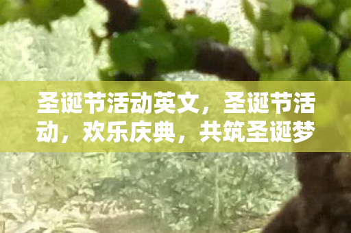圣诞节活动英文,圣诞节活动,欢乐庆典,共筑圣诞梦 圣诞节活动英文,圣诞节活动,欢乐庆典,共筑圣诞梦