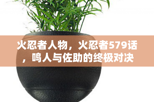 火忍者人物,火忍者579话,鸣人与佐助的终极对决 火忍者人物,火忍者579话,鸣人与佐助的终极对决