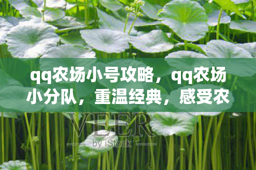 qq农场小号攻略,qq农场小分队,重温经典,感受农场乐趣 qq农场小号攻略,qq农场小分队,重温经典,感受农场乐趣