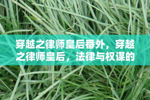 穿越之律师皇后番外，穿越之律师皇后，法律与权谋的时空交响曲
