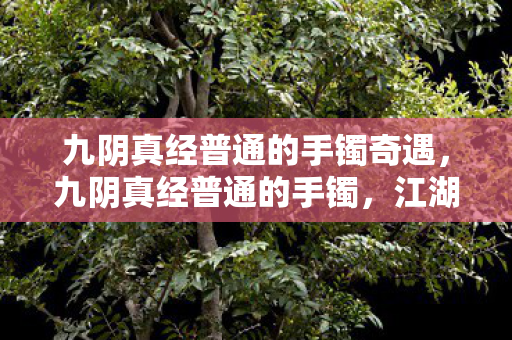 九阴真经普通的手镯奇遇,九阴真经普通的手镯,江湖中的一抹风情 九阴真经普通的手镯奇遇,九阴真经普通的手镯,江湖中的一抹风情